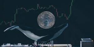 top 100 richest bitcoin addresses
