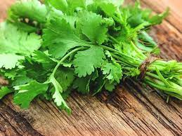 wellhealthorganic.com : coriander-leaves-5-best-health-benefits