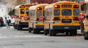 I Accidentally Passed a Stopped School Bus Ny