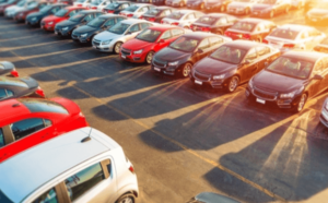 Used Car Dealers
