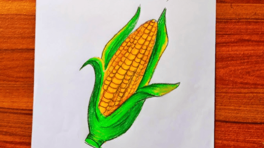 Easy:_Xydgvrjuy4= Corn Drawing