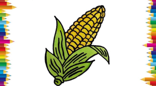 Easy:_Xydgvrjuy4= Corn Drawing