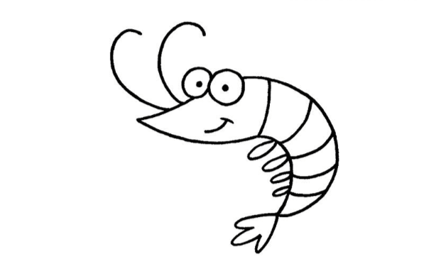 Easy:_Ym_C3obqni= Shrimp Drawing