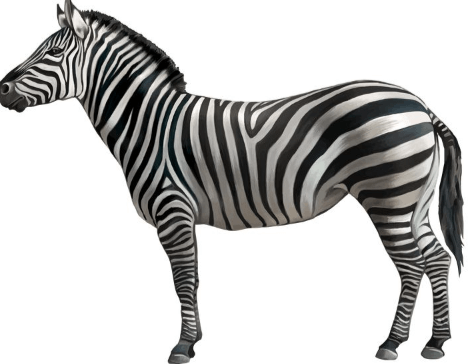 Clipart:Qkzoanv2hvm= Zebra