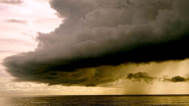 10 Mold Prevention Strategies for South Florida During The 2025 Hurricane Season