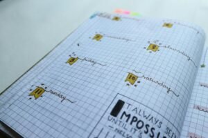 performance planner horizon lens